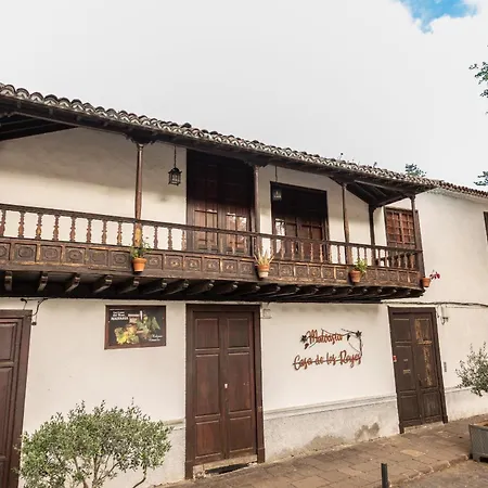 Appartement Amplio Apartamento En Centro Historico De Icod Icod De Los Vinos